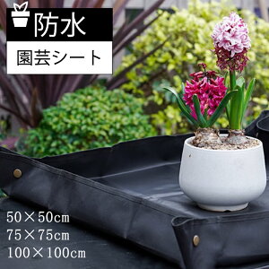 |V[g g[ IbNXtH[h50×50cm 75×75cm 100×100cm O[ Aւ | DIY W[V[g |pi  K[f GNXeA K[fjOv K[f gC h H 