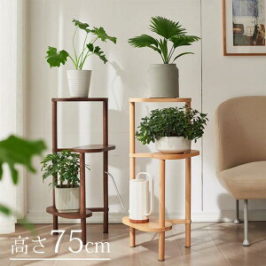 rico collection VR t[X^h ui ԑ bN 3i u I TChe[u Ԏ[ Op  |bg X^h v^[x[X fBXvCX^h u  