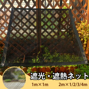 rico collection Ռlbg ՔM TVF[h |p 5TCY Ռ60% A _Ɨp |p ΍ J΍ O   A A x_ ؉ }V ƒ؉ 悯 h