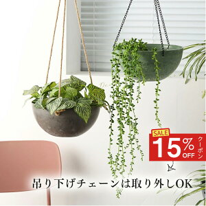 y艿i15N[|zrico collection nMOv^[ vX`bN Ζ͗l nMO|bg O   vgnK[ Jo[ ꌊ  Ǌ| A 