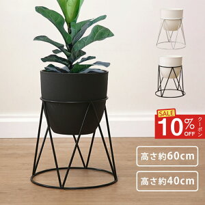 y艿i10N[|z|bg X^h t[X^h t ϗtA 񍂂40cm 60cm ACA X`[ u Jo[ v^[X^h AؔX^h t[ b