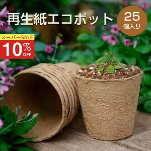 yX[p[Z[10OFFz ͔||bg 25Zbg Đ GR|bg  ƒ؉ c|bg ܂ x_؉ GReňĂ v[g a ̓ ̓ hV