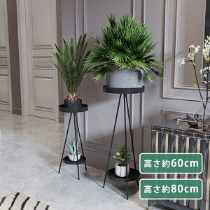 |bg X^h t[X^h ϗtA k 2i 60cm 80cm ȒPgݗ ŉt @\ ACA X`[ u Jo[ v^[X^h bN  ԑ AI  K