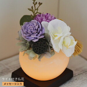 LEDCg t ԁ@gFCg ybZ[W薳tzԁ@ vU[uht[ 䋟vU[uht[ dpCgtd vU[uh