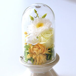 KXh[t@vU[uht[@~j(~jDt)PiysN/CG[z  䋟vU[uht[ dpd vU[uhd ԁ 
