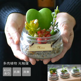 楽天市場 花 プリザーブドフラワー 花器 キューブタイプ 名入れできる雑貨屋 リコルド