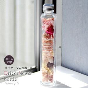 jv[g{gt[ L[gEsNyIׂpbZ[WzhCt[ ri2FjIׂpa v[ghCt[ ~j r  