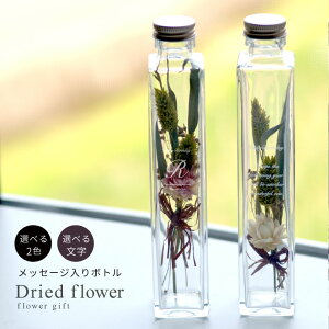 ̓Mtg@{gt[@hCt[ ri2FjIׂpbZ[W hCt[ v[g r   CeA j LOi  v[g ~