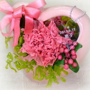 yzJ[l[V vU[uht[n[g ^i͂Ȃԁj bZ[W\ꂳ O聄v`Mtg O聄J[l[V   