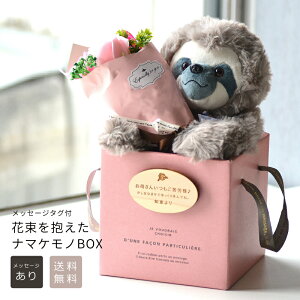 ꂳփMtgybZ[W zԑ i}Pm BOXZbgV{t[ ԑ\[vt[ v[g킢  ԑ u[P Mtg  v[g 