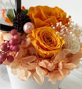 ̓MtgyvU[uht[ v[gzonly one vU i͂ȂԁjbZ[W \ O a bZ[W v[g  a v[gԂ 