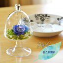 【記念日 ギフト】【送料無料の名入れプリザーブドフラワー】プチドーム型 プリザーブドフラワー（ブルー）（枯れないお花）＜メッセージ名入れ可能＞プリザーブドフラワー 誕生日 プレゼント 青いバラ 男性 プレゼント バレンタイン 誕生日 メンズ ギフト