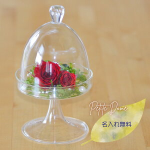 @v` h[^ vU[uht[(bhj i͂ȂԁjbZ[W\LO ԁo   a v[g 킢 LOi  O 