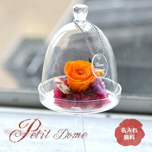 yhV LOMtgzy vU[uht[z ԃMtg av`h[^`Â`͂Ȃԁ bZ[W\ vU[uht[ h[a