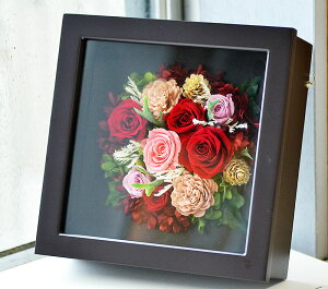  vU[uht[  aAW j ސEj Ďj  Mtg v[g@g^Cv a --F / F / ԐFi͂ȂԁjbZ[W\bZ[W