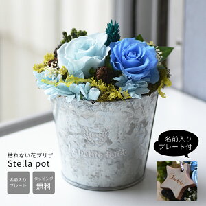 Đ܂@aMtgyv[g ԁzXe|bgi͂ȂԁjL[z_[tvU[uht[ v[g t[|bg  a  FB M