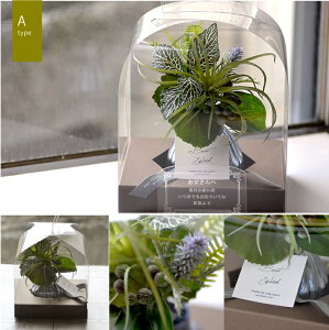 父の日ギフト【送料無料】(名入れアーティフィシャル グリーン)名入れ瓶入りミニブーケ (2種類)(枯れない フェイクグリーン)<観葉植物 名入れ>卓上観葉植物 お手入れ不要 植物 テー