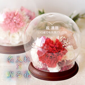 j[AIo J[l[V ROSA-T- iFyj bZ[W\vU[uht[ O聄ꂳ a a Mtg`  v