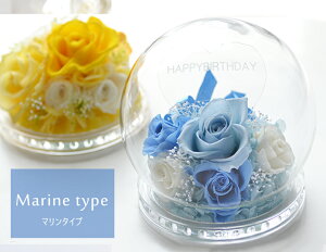 o KXh[ vU[uht[ybZ[WEEIׂ8ށzi͂Ȃԁj j t[Mtg  a v[g 蕨 LO LOi 