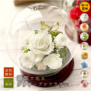 j[AIuEʁ@o KXh[ vU[uht[ybZ[WEEIׂ8ށzi͂Ȃԁjj t[Mtg  a v