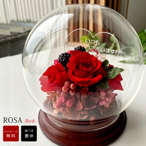 j[AIh[^  vU[uht[T iʃuEjyԃoEn[g30܂ŃbZ[WOKzvU[uh t[ bZ[W a v