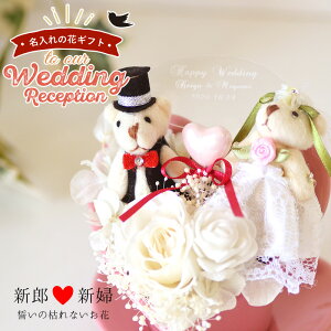 yjzy  ԃMtgzn[g^ VYVwn[g xA[܂̂ʂ 2CtOꖳEFfBO u[Pj@MtgTvCY t