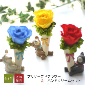 y̓MtgznhN[ 킢 IuWF vU[uht[vU[uht[i͂Ȃԁjya v[g zLO ԁ nhN[