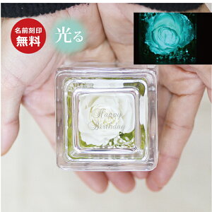 y vUz@o KX L[u vUi͂ȂԁjbZ[W \OvU[uht[ v[g  FB Mtg  j