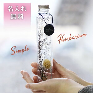 y̖ n[oEz vU (Vo[zCg)vU[uht[i͂ȂԁjbZ[W \ IC a v[g j