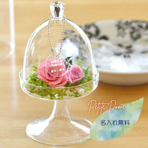 y̓Mtgzy  vU[uht[zv` h[^ vU[uht[isNji͂Ȃԁj bZ[W\t[ Mtgo 