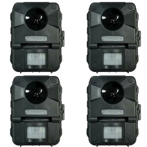 y4ZbgzAj}oA@v@IN-ANB-07PRO