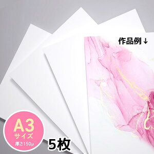 A[gp@A3TCYi297×420mmj@5@XCXfUC