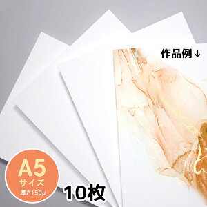 A[gp@A5TCYi148×210mmj@10@XCXfUCy4܂ŒǐՉ\[֔zΉz