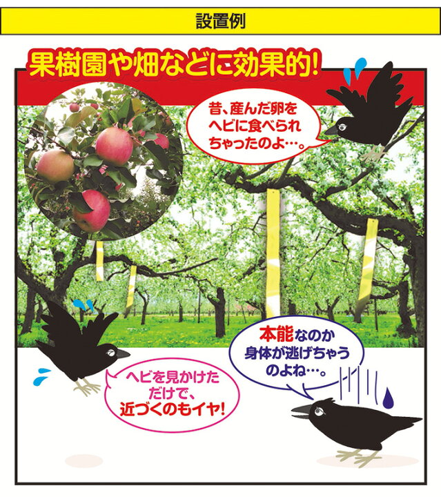 楽天市場 鳥害対策に 鳥よけフィルム ヘビウロコ 5枚入 2個セット 1個あたり5 Off リコロshop