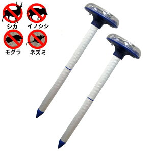 Aj}oAEOCg IJ-ANB11@2Zbg