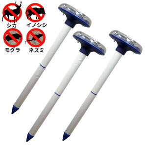 Aj}oAEOCg IJ-ANB11@3Zbg