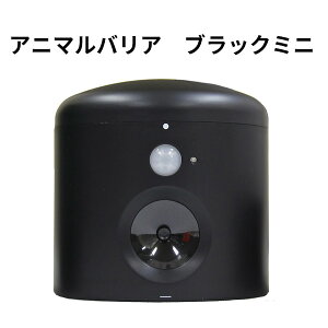 Aj}oAEubN~j IJ-ANB-04-BK