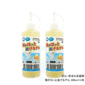 y2{ZbgzS SȊ ̓bƓQ 300ml @ɂ₳ng