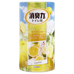 yGXe[zgC̏LR@O[vt[c 500g@[gCmVEVENO[vF]