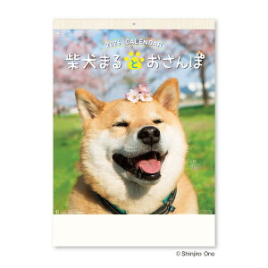 yV{J_[z2026NJ_[@Č܂ƂۃJ_[@[NK35]