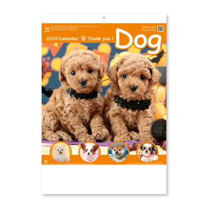 yV{J_[z2026NJ_[@TL[EhbO@[NK454]