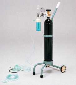 【直送】キャリー型酸素吸入器（一式）【北海道・沖縄配送不可】