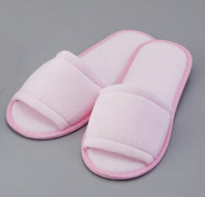 ĝăXbp@MT-250isNj1