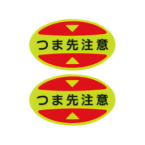 {Ώ\ЁܐpӊNXebJ[(SCp)@ܐ撍Ӂ@STPS-15@30×50@uGry5g܂ŒǐՉ\[ւI\z