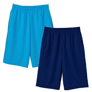 y݌ɏzyWHISELizCZjzn[tpcijpjWH90156