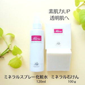 XLPAZbg b ϕi ϐ q ~Xg Xv[ [V Ό Y  Ō` ΂ ێ ь }CNEH[^[ PA[V 120ml PA\[v 90g ~l 