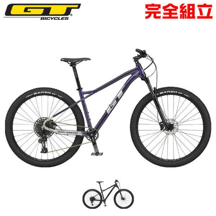 楽天市場】GT ジーティー 2024年モデル AVALANCHE EXPERT アバランチェ 