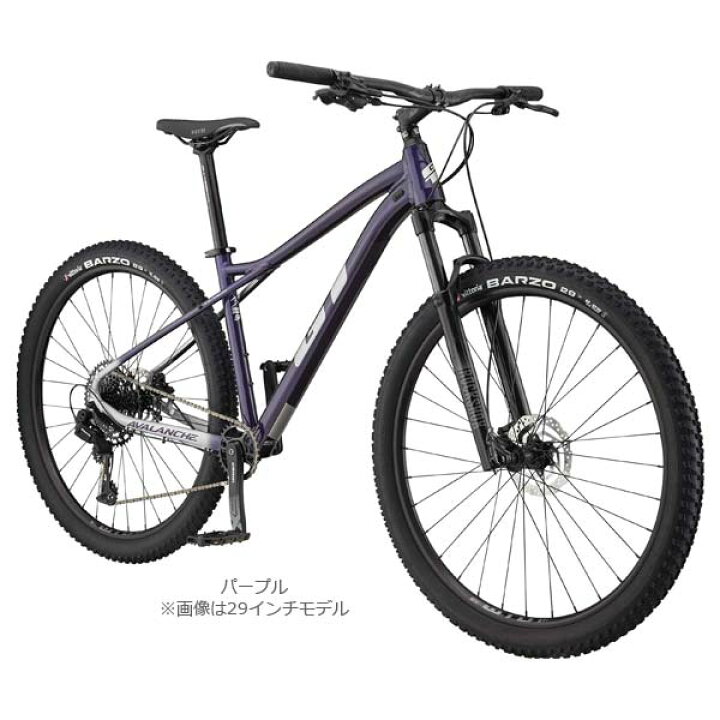 楽天市場】GT ジーティー 2024年モデル AVALANCHE EXPERT アバランチェ 