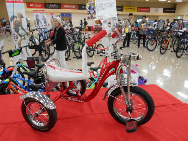 楽天市場】SCHWINN シュウィン 2021年モデル LIL STINGRAY S.DX 