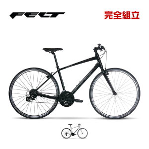 FELT tFg 2024Nf VERZA SPEED 50 xUXs[h50 NXoCN